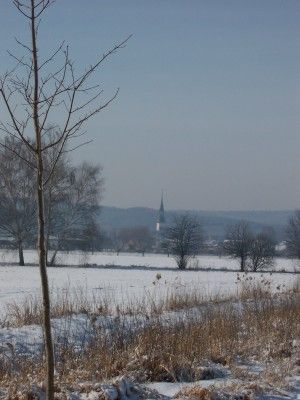 Foto des Albums: Winterimpressionen aus dem Schradenland (07. 02. 2006)