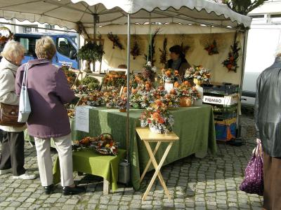 Foto des Albums: Töpfermarkt auf dem Töpfermarkt (26.10.2008)