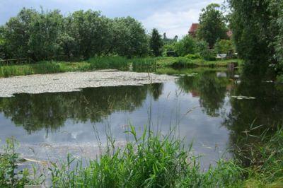 Foto des Albums: 750 Jahre Stadt Pritzwalk: Fest der Pritzwalker Schulen