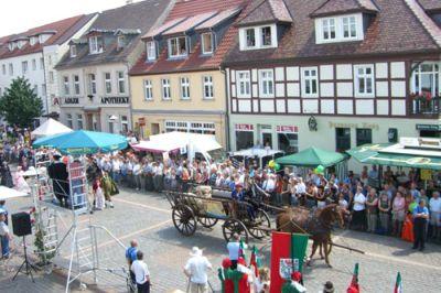 Foto des Albums: 750 Jahre Stadt Pritzwalk: Historischer Festumzug