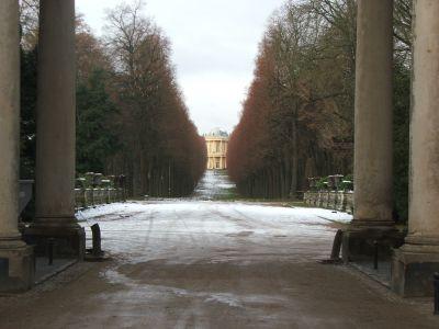 Foto des Albums: Erster Schnee im Park Sanssouci (26.11.2008)