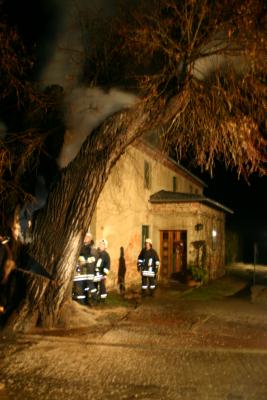 Bild: 31.12.08 Brand der Linde am Pfarrhaus