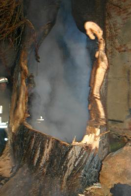 Bild: 31.12.08 Brand der Linde am Pfarrhaus