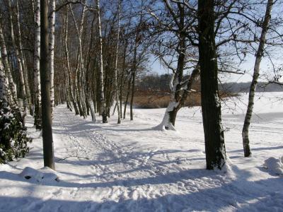 Foto des Albums: Winteridylle am Körbaer Teich (12.01.2009)