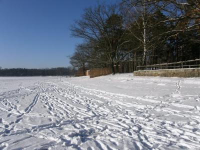 Foto des Albums: Winteridylle am Körbaer Teich (12.01.2009)