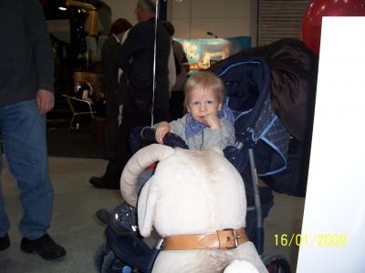 Foto des Albums: Cottbusser Reisemesse 2009