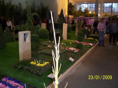 Bild der Galerie