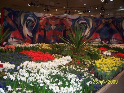 Bild der Galerie