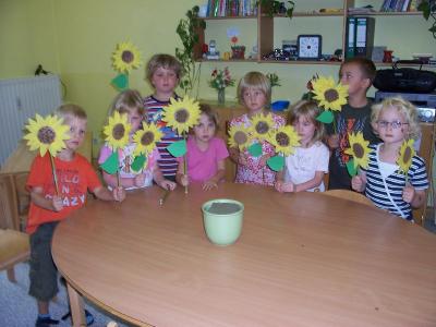 Foto des Albums: Unsere Sonnenblumen (21.08.2009)