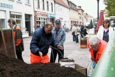 Foto des Albums: Blumen- und Pflanzenmarkt in Wittstock (07.05.2009)