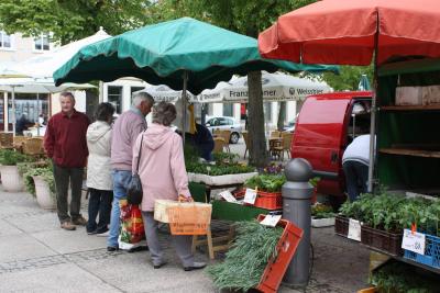 Foto des Albums: Blumen- und Pflanzenmarkt in Wittstock (07.05.2009)