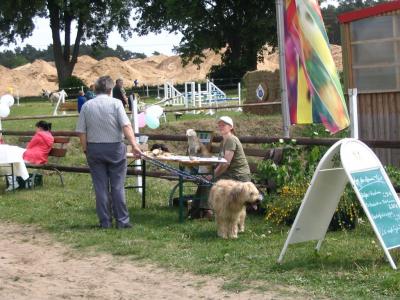 Foto des Albums: Tag der offenen Tür am 17.05.2009