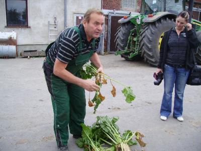 Bild: