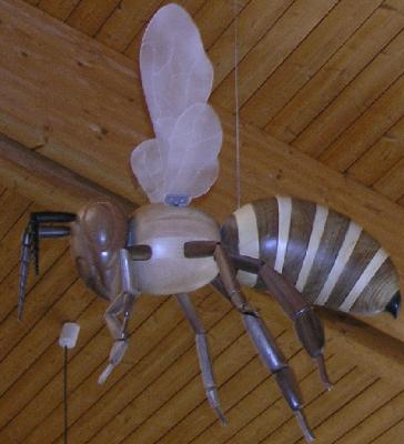 Foto des Albums: Bienenschlacht als Projekt