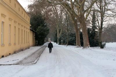 Foto des Albums: Erster Schnee im Park Sanssouci (18.12.2009)