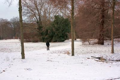 Foto des Albums: Erster Schnee im Park Sanssouci (18.12.2009)