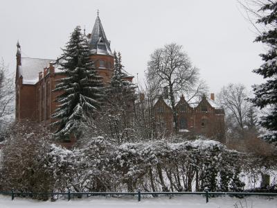 Foto des Albums: Neujahrsspaziergang durch die historische Altstadt Dahme/Mark (01.01.2010)