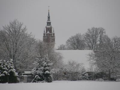 Foto des Albums: Neujahrsspaziergang durch die historische Altstadt Dahme/Mark (01.01.2010)