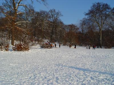 Foto des Albums: Babelsberger Park im Winter (03.01.2010)
