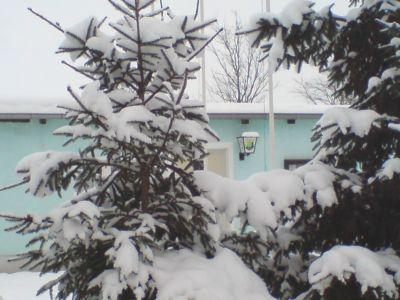 Foto des Albums: Mühlberger Winterimpressionen