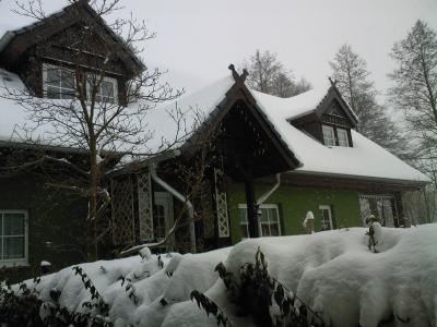 Foto des Albums: Winter 2010 (11. 01. 2010)