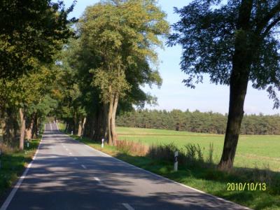 Bild : Straße von Nennhausen nach Kotzen