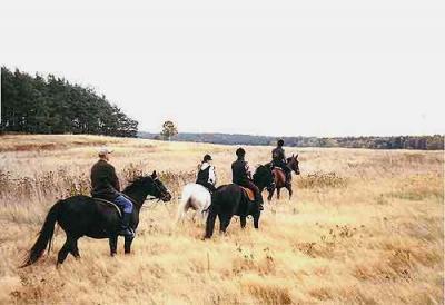 Fotoalbum Herbstausflug mit Pferd und Kutsche