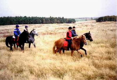 Foto des Albums: Herbstausflug mit Pferd und Kutsche (01.11.2006)
