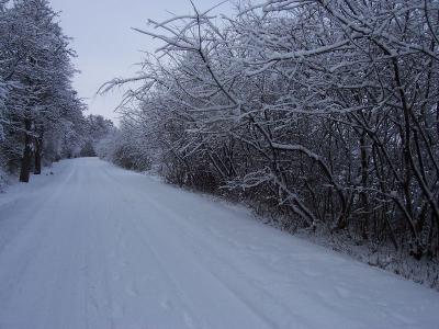 Foto des Albums: Winterfreude (09.02.2010)