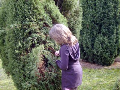 Bild: Hat der Osterhase dort auch etwas versteckt?
