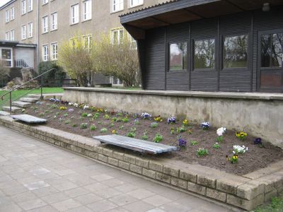 Bild der Galerie