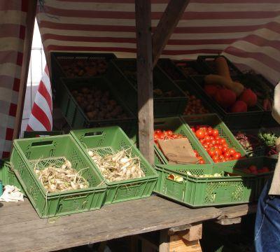 Foto des Albums: Bilder vom Rübchenfest 2008
