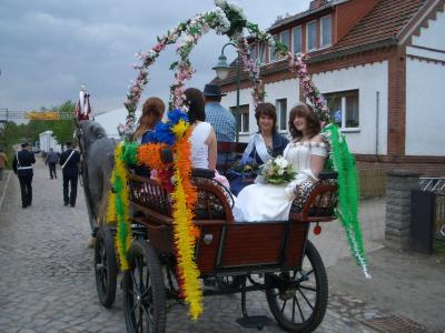 Foto des Albums: und weiter mit den Blüten von Rogätz (10. 05. 2010)