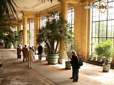Foto des Albums: Ausfahren der Pflanzen an der Orangerie im Park Sanssouci (16.05.2010)
