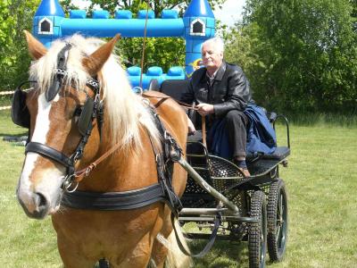 Foto des Albums: Langengrassauer Dorffest 2010