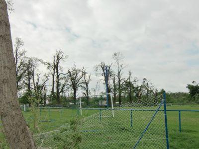 Foto des Albums: Der Tag nach dem Tornado