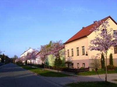 Bild : Mützlitzer Straße