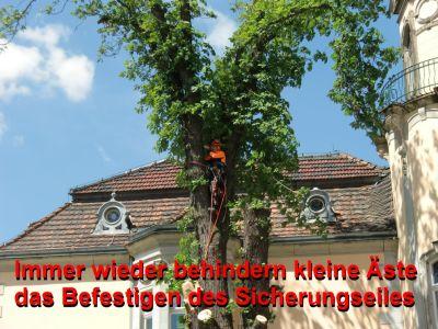 Foto des Albums: Aufräumarbeiten in Mühlberg gehen weiter