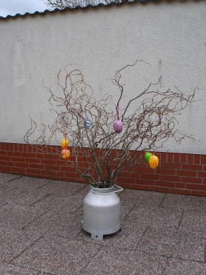Foto des Albums: Frühlingsimpressionen aus Preddöhl (04. 04. 2010)