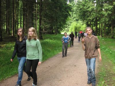 Bild der Galerie