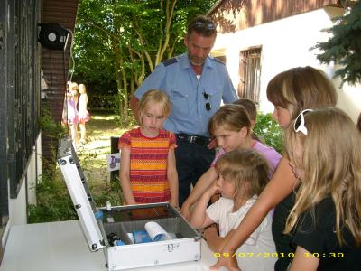 Bild der Galerie