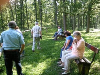 Foto des Albums: Deutscher Drechslertag 2010 in Lohr am Main