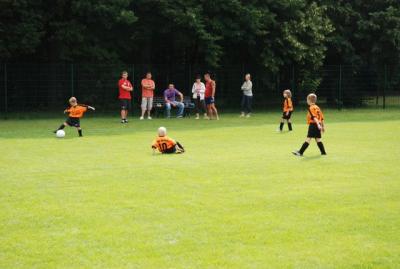 Foto des Albums: Rückblick auf das Sport- und Parkfest in Neuhirschstein vom 30.7. bis 1.8.2010