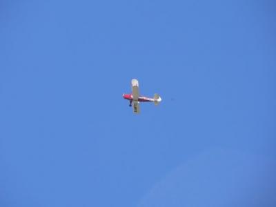 Foto des Albums: Rückblick auf das Sport- und Parkfest in Neuhirschstein vom 30.7. bis 1.8.2010