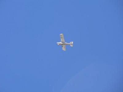 Foto des Albums: Rückblick auf das Sport- und Parkfest in Neuhirschstein vom 30.7. bis 1.8.2010