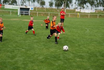 Foto des Albums: Rückblick auf das Sport- und Parkfest in Neuhirschstein vom 30.7. bis 1.8.2010