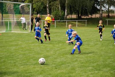 Foto des Albums: Rückblick auf das Sport- und Parkfest in Neuhirschstein vom 30.7. bis 1.8.2010