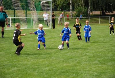 Foto des Albums: Rückblick auf das Sport- und Parkfest in Neuhirschstein vom 30.7. bis 1.8.2010