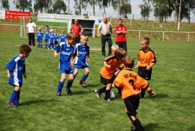 Foto des Albums: Rückblick auf das Sport- und Parkfest in Neuhirschstein vom 30.7. bis 1.8.2010