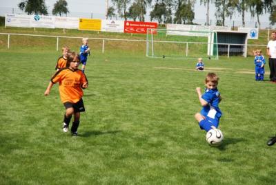 Foto des Albums: Rückblick auf das Sport- und Parkfest in Neuhirschstein vom 30.7. bis 1.8.2010